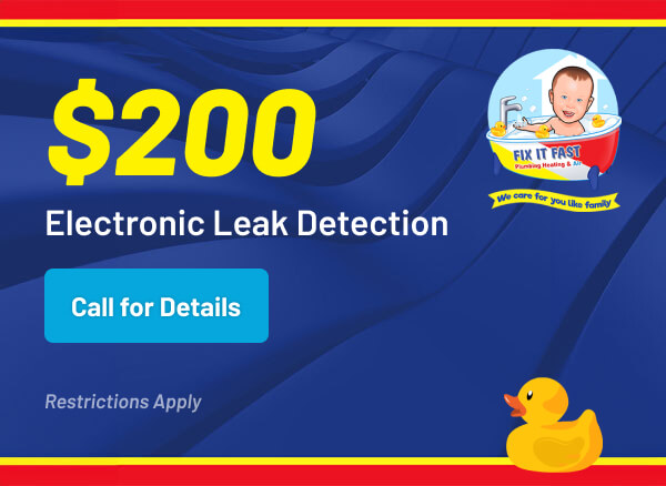 $200 Electronic Leak Detection